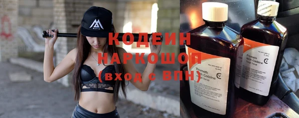 индика Горняк