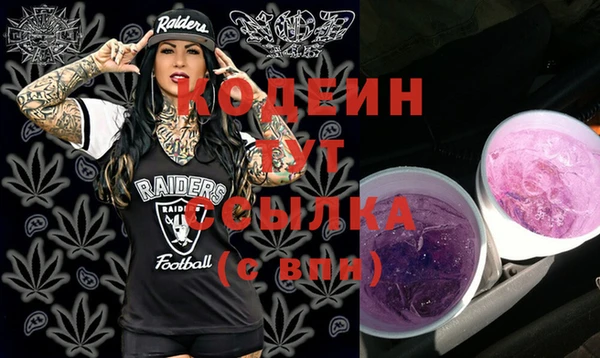 индика Горняк