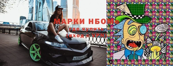 индика Горняк