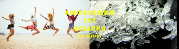 индика Горняк