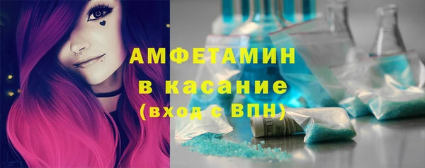 индика Горняк