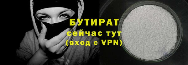 индика Горняк
