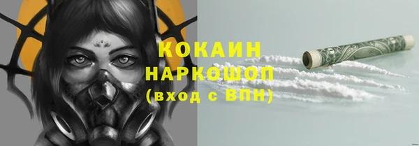 гашик Горно-Алтайск