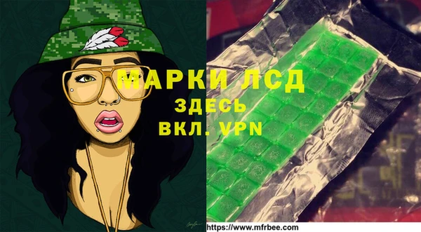 ГАЛЛЮЦИНОГЕННЫЕ ГРИБЫ Вяземский