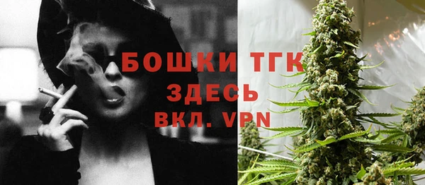 индика Горняк