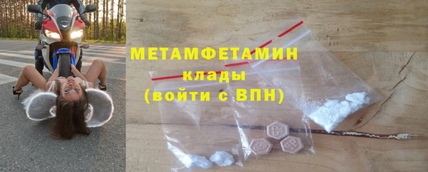 ГАЛЛЮЦИНОГЕННЫЕ ГРИБЫ Вяземский