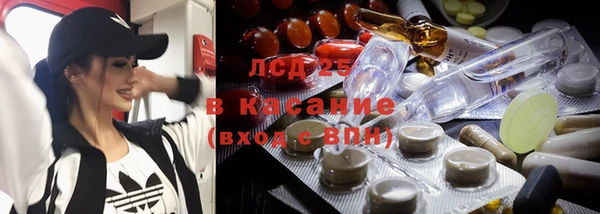 ГАЛЛЮЦИНОГЕННЫЕ ГРИБЫ Вяземский