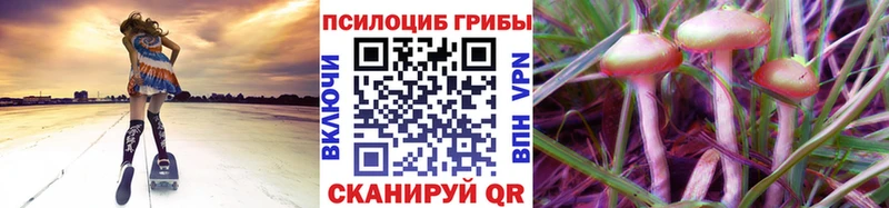 Псилоцибиновые грибы GOLDEN TEACHER  площадка официальный сайт  Грязи 